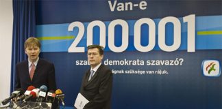 Koalíción kívüli kormánypárt