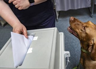 Az önkormányzati választásokról