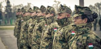 It turned out what the Hungarians would do if Hungary got involved in the war