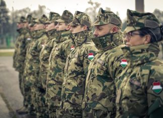 It turned out what the Hungarians would do if Hungary got involved in the war